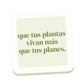 Clac con forma de una cita escrita a mano y el texto «que tus plantas vivan más que tus planes.»
